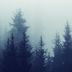 Meet your Posher, Macie